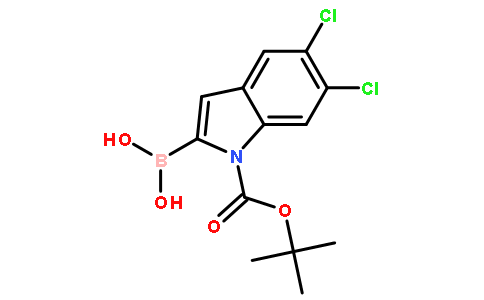 1-Boc-5,6-二氯-1H-吲哚-2-硼酸