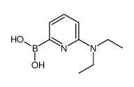 [6-(diethylamino)pyridin-2-yl]boronic acid