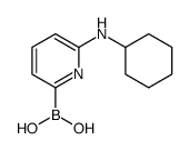 [6-(cyclohexylamino)pyridin-2-yl]boronic acid