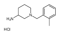 1-(2-Methylbenzyl)piperidin-3-amine hydrochloride