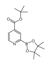 tert-butyl 2-(4,4,5,5-tetramethyl-1,3,2-dioxaborolan-2-yl)pyridine-4-carboxylate