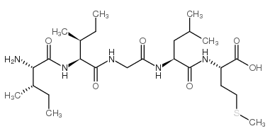 异亮氨酰-异亮氨酰-甘氨酰-亮氨酰-蛋氨酸