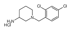 1-(2,4-Dichlorobenzyl)piperidin-3-amine hydrochloride
