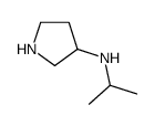 异丙基-吡咯烷-3-基-胺