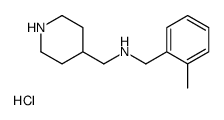 N-(2-Methylbenzyl)-1-(piperidin-4-yl)methanamine hydrochloride