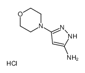 5-吗啉-1H-吡唑-3-胺