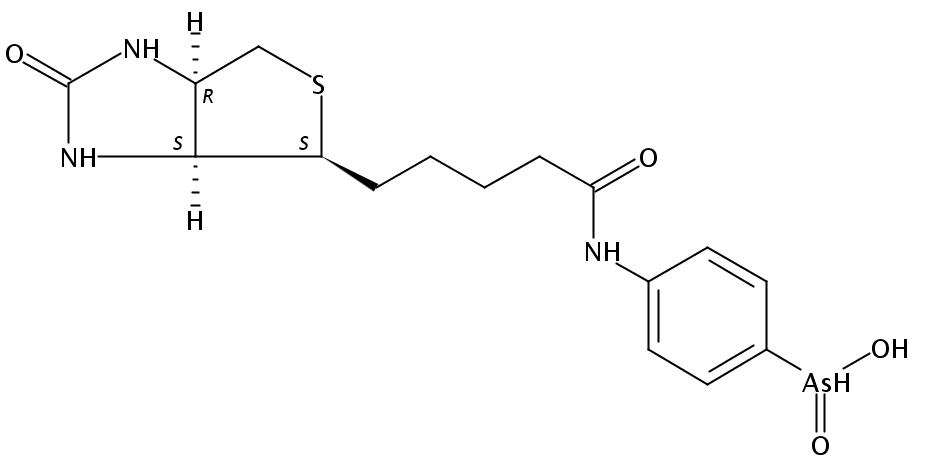 N-Biotinyl p-Aminophenyl Arsinic Acid