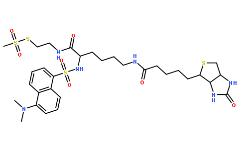 (N-Dansyl)biocytinamidoethyl Methanethiosulfonate