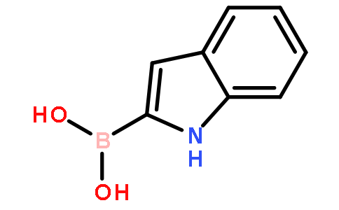 1H-吲哚-2-硼酸