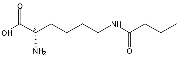 N'-丁酰基-L-赖氨酸