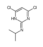 4,6-dichloro-N-propan-2-ylpyrimidin-2-amine