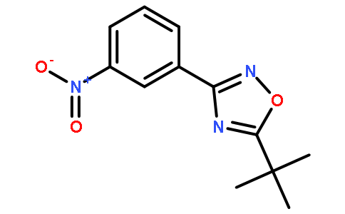 5-叔丁基 3-(3-硝基苯基)-1,2,4-噁二唑