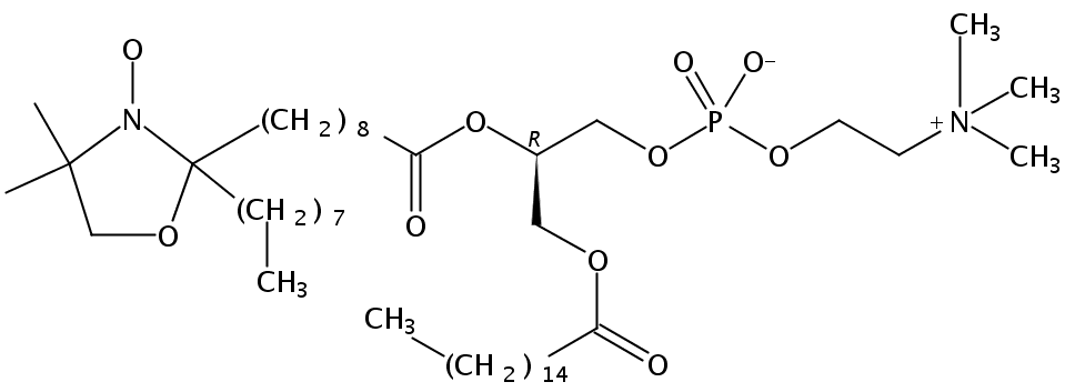 1-palmitoyl-2-stearoyl-(10-doxyl)-sn-glycero-3-phosphocholine