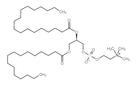 1-palmitoyl-2-stearoyl-sn-glycero-3-phosphocholine