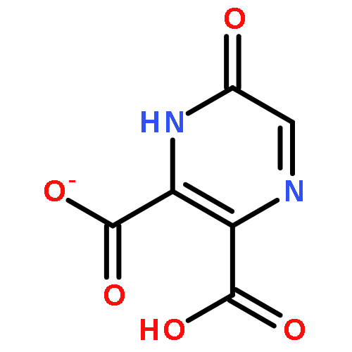 6-氧代-1,6-二氢吡嗪-2,3-二甲酸钠盐
