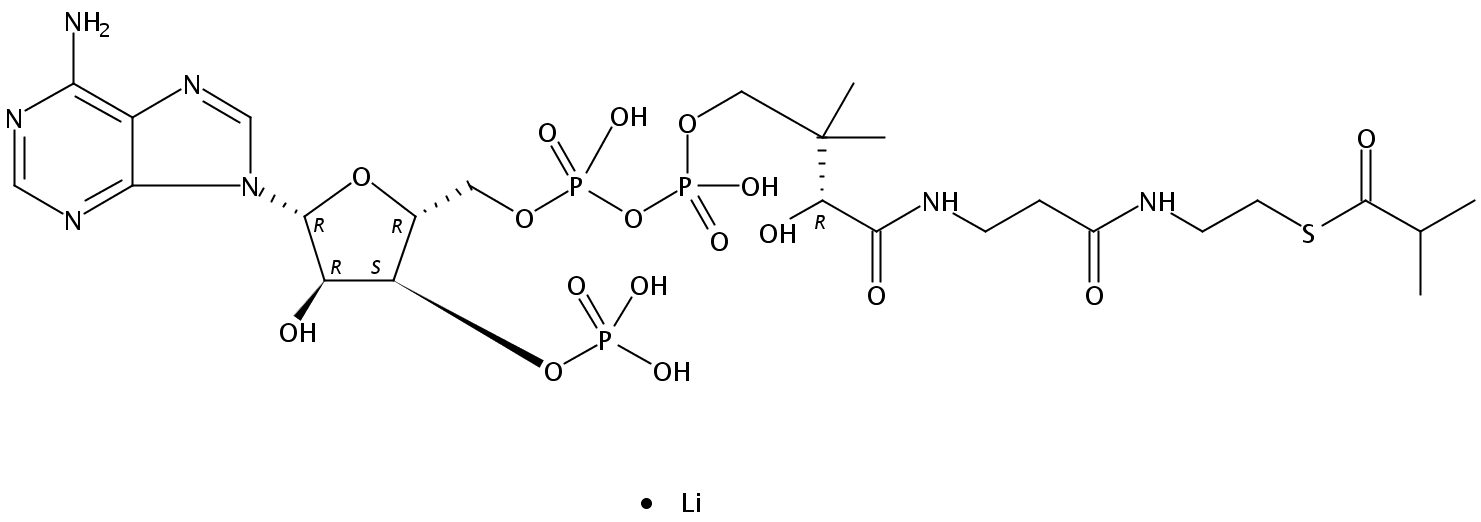 异丁酰基辅酶A锂盐