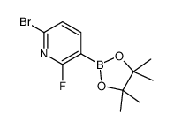 6-bromo-2-fluoro-3-(4,4,5,5-tetramethyl-1,3,2-dioxaborolan-2-yl)pyridine