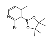 2-bromo-4-methyl-3-(4,4,5,5-tetramethyl-1,3,2-dioxaborolan-2-yl)pyridine