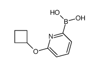 (6-cyclobutyloxypyridin-2-yl)boronic acid