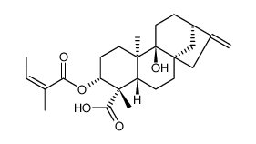 3α-当归酰氧基-9β-羟基等效贝壳杉-16-烯酸