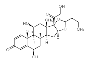 孕-1,4-二烯-3,20-二酮,16,17-[亚丁基二(氧代)]-6,11,21-三羟基-,(6b,11b,16a)-