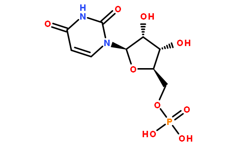 聚尿苷酸钾盐