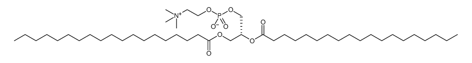 1,2-dinonadecanoyl-sn-glycero-3-phosphocholine