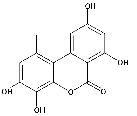 4-羟基格链孢酚