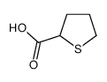 四氢-2-噻吩羧酸