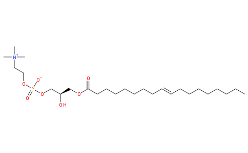 1 - 油酰-SN-甘油-3 - 磷酸胆碱