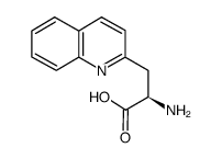 (R)-2-氨基-3-喹啉-2-丙酸