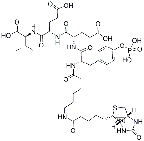 BIOTIN-LC-TYR(PO3H2)-GLU-GLU-ILE