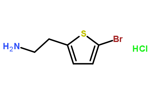 5-溴-2-噻吩乙胺盐酸盐