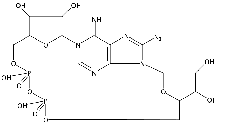 8-叠氮基环磷腺苷二磷酸酯-核糖