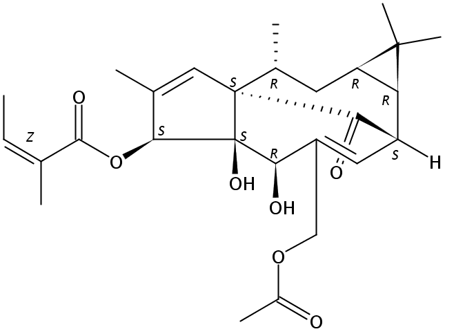巨大戟醇-3-O-当归酸-20-乙酸酯
