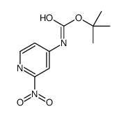 2-硝基吡啶-4-氨基甲酸叔丁酯