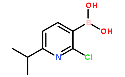 2-氯-6-异丙基吡啶-3-硼酸