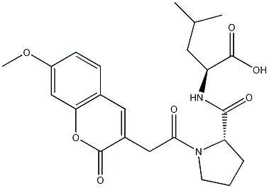 荧光调控基质金属蛋白酶-2/金属蛋白酶-7