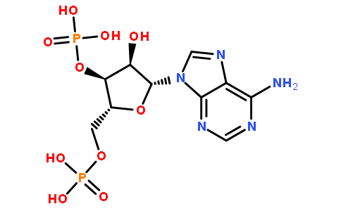 腺苷3`,5`-二磷酸钠盐