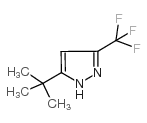 5-叔丁基-3-三氟甲基-1H-吡唑