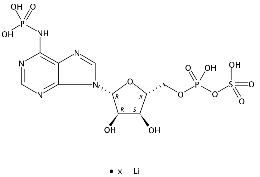 ADENOSINE 3'-PHOSPHATE 5'-PHOSPHOSULFATE LITHIUM