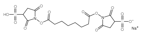 双琥珀酰亚胺辛二酸酯钠盐