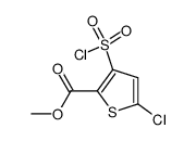 5-氯-3-氯磺酰噻吩-2-羧酸甲酯