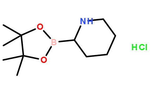 2-(4,4,5,5-四甲基-1,3,2-二噁硼烷-2-基)哌啶盐酸盐