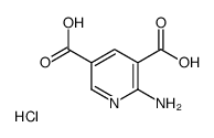 2-氨基-吡啶-3,5-二羧酸盐酸盐
