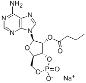 二丁酰环磷腺甙杂质55443-13-5