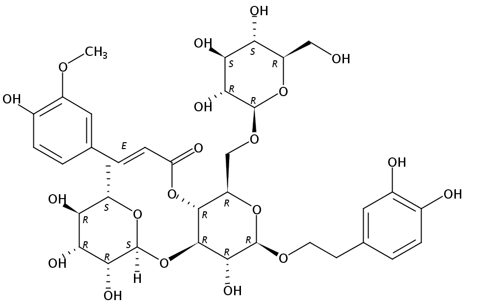 焦地黄苯乙醇苷A1