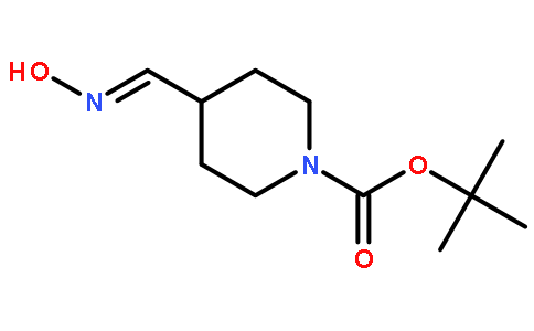 2-甲基-2-丙基4-(羟基亚氨代甲酰基)-1-哌啶羧酸酯