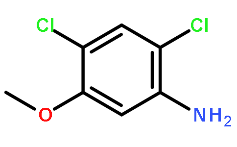 2,4-二氯-5-甲氧基苯胺