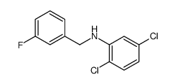 2,5-Dichloro-N-(3-fluorobenzyl)aniline